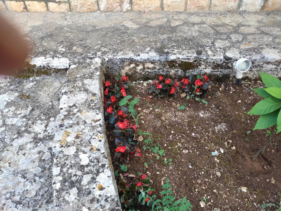 Villa La Dimora Del Cuore *