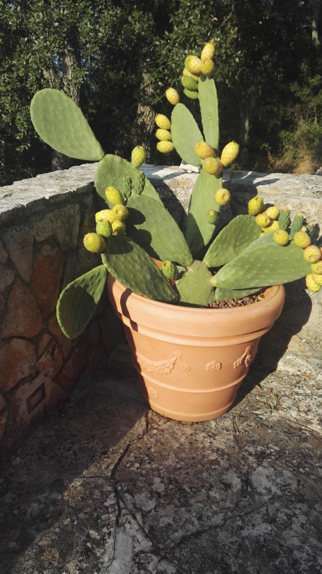 Villa La Dimora Del Cuore
