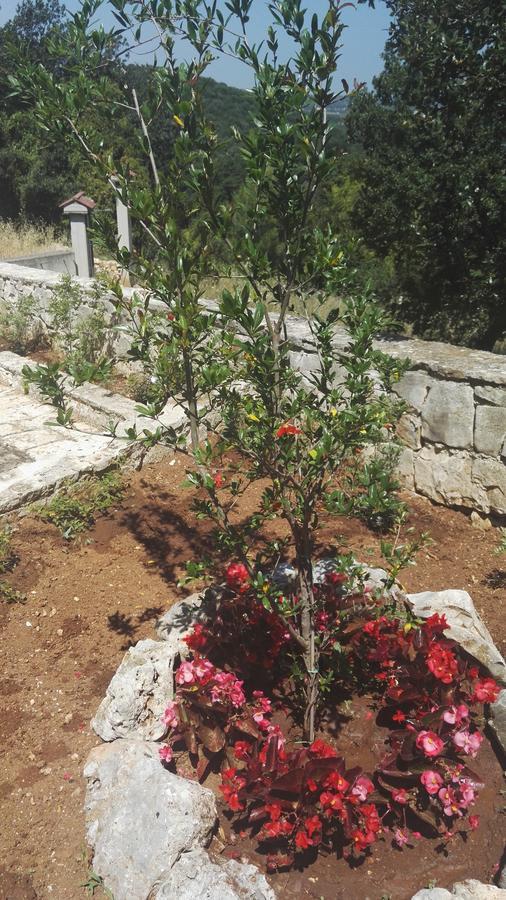 La Dimora Del Cuore Villa